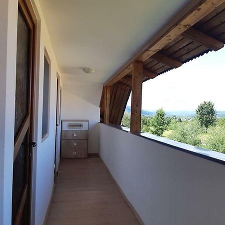 Casa Crisan Apartment Sapinta Exterior photo