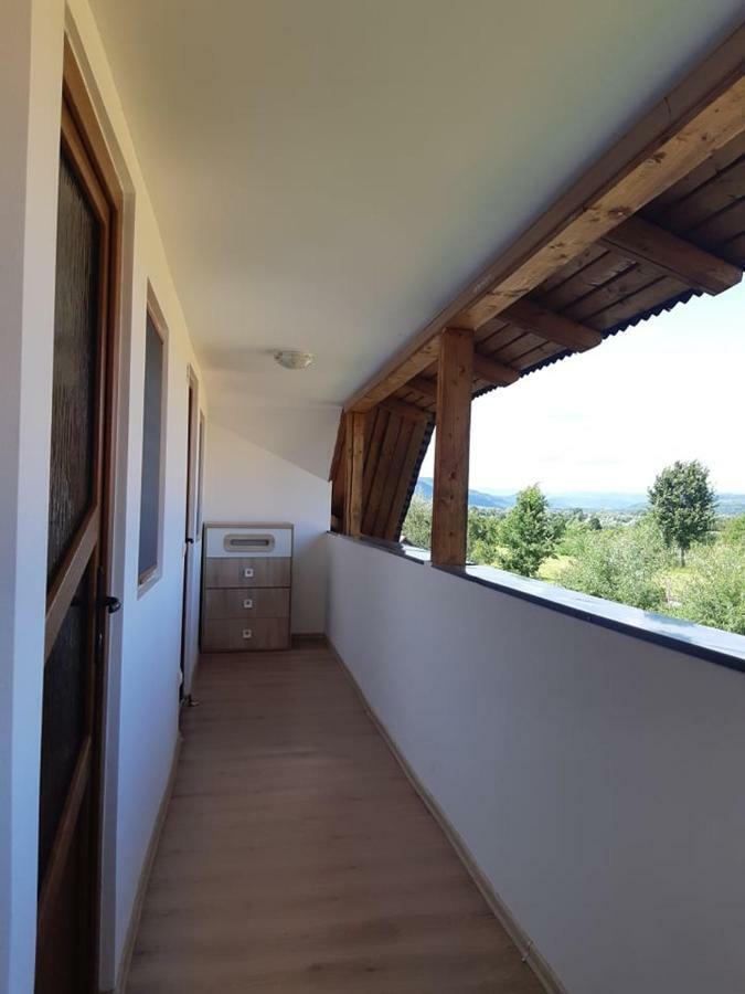 Casa Crisan Apartment Sapinta Exterior photo